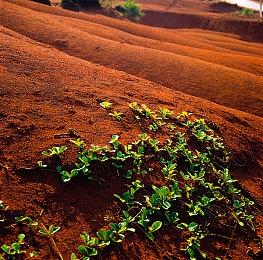 艺术家还原《铁拳8》新角色概念图 呼吁官方修改设计