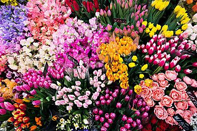 《天国：拯救2》更多细节：开发6年  NPC记住玩家行为